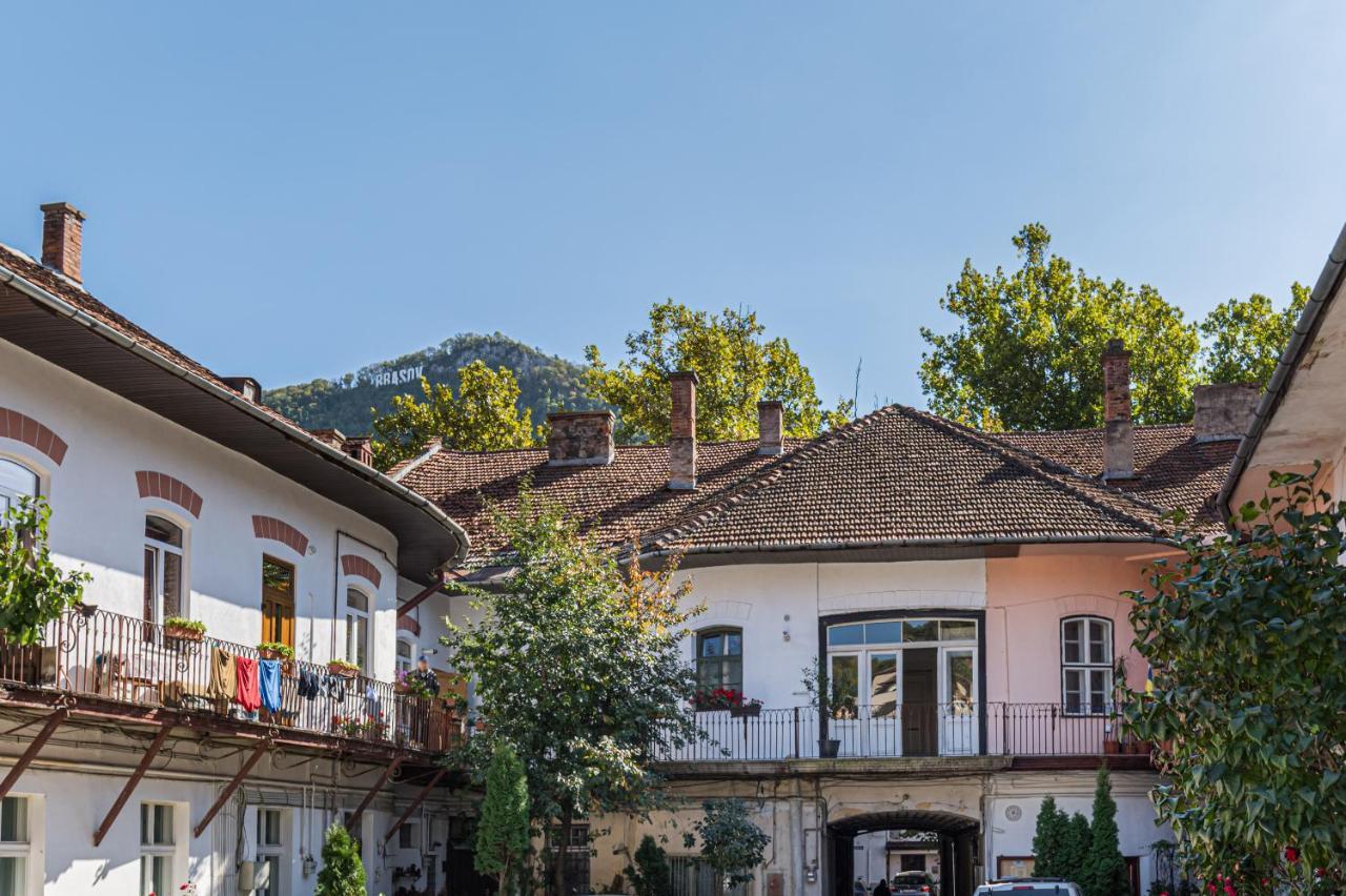 Zen Studio Braşov Eksteriør bilde